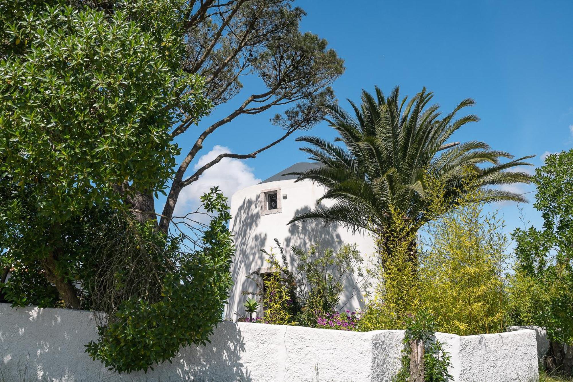 Villa New! Windmill In The Midst Of Nature à Mafra Extérieur photo