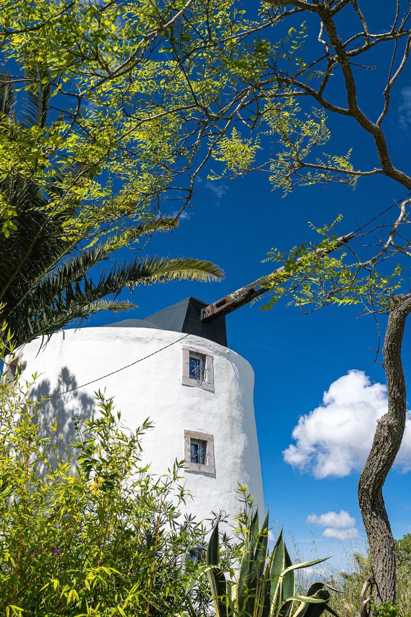 Villa New! Windmill In The Midst Of Nature à Mafra Extérieur photo